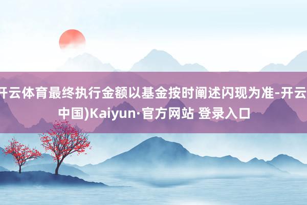 开云体育最终执行金额以基金按时阐述闪现为准-开云(中国)Kaiyun·官方网站 登录入口
