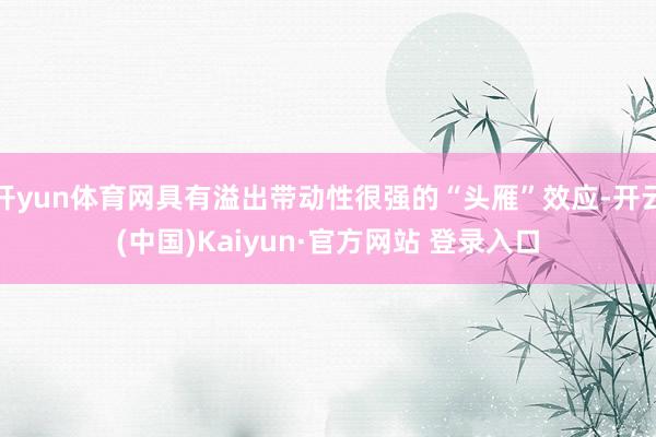 开yun体育网具有溢出带动性很强的“头雁”效应-开云(中国)Kaiyun·官方网站 登录入口