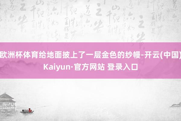 欧洲杯体育给地面披上了一层金色的纱幔-开云(中国)Kaiyun·官方网站 登录入口