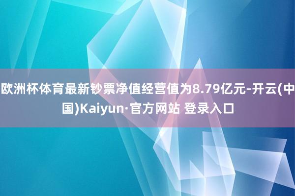 欧洲杯体育最新钞票净值经营值为8.79亿元-开云(中国)Kaiyun·官方网站 登录入口