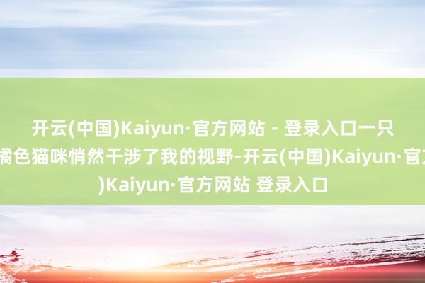 开云(中国)Kaiyun·官方网站 - 登录入口一只名叫“小宝”的橘色猫咪悄然干涉了我的视野-开云(中国)Kaiyun·官方网站 登录入口