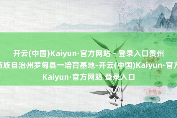 开云(中国)Kaiyun·官方网站 - 登录入口贵州省黔南布依族苗族自治州罗甸县一培育基地-开云(中国)Kaiyun·官方网站 登录入口