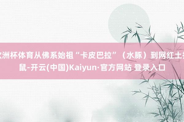 欧洲杯体育从佛系始祖“卡皮巴拉”（水豚）到网红土拨鼠-开云(中国)Kaiyun·官方网站 登录入口