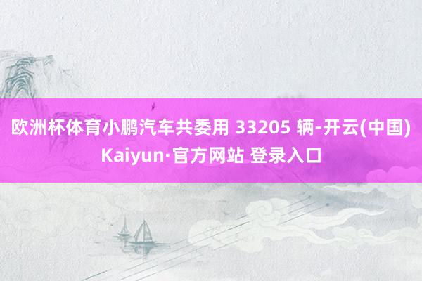 欧洲杯体育小鹏汽车共委用 33205 辆-开云(中国)Kaiyun·官方网站 登录入口