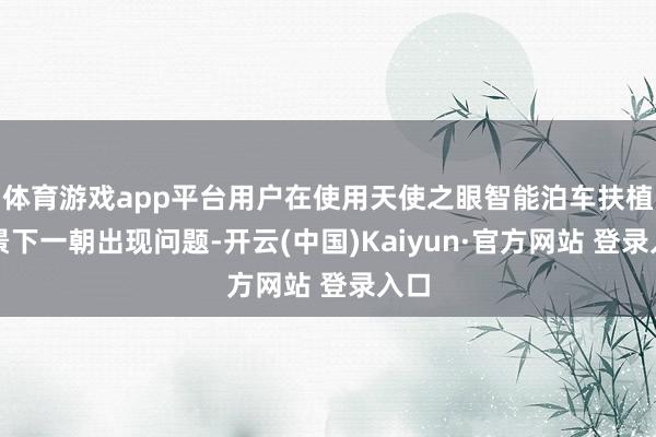 体育游戏app平台用户在使用天使之眼智能泊车扶植场景下一朝出现问题-开云(中国)Kaiyun·官方网站 登录入口