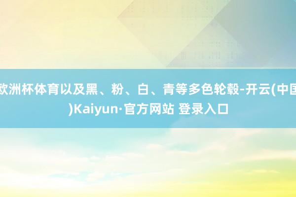 欧洲杯体育以及黑、粉、白、青等多色轮毂-开云(中国)Kaiyun·官方网站 登录入口