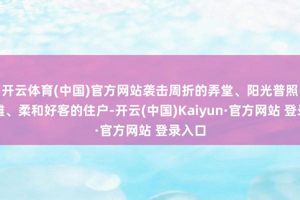 开云体育(中国)官方网站袭击周折的弄堂、阳光普照的海滩、柔和好客的住户-开云(中国)Kaiyun·官方网站 登录入口