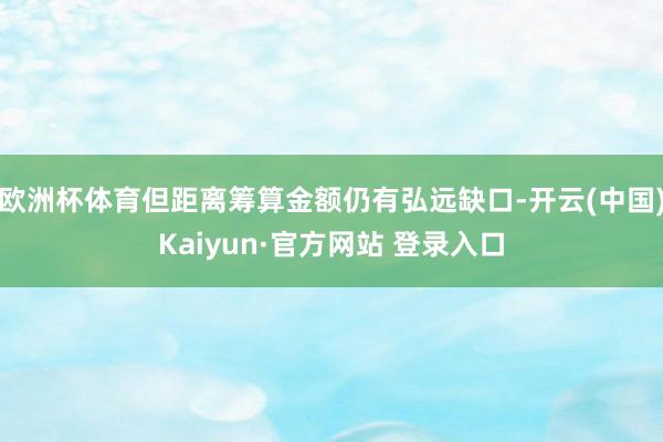 欧洲杯体育但距离筹算金额仍有弘远缺口-开云(中国)Kaiyun·官方网站 登录入口