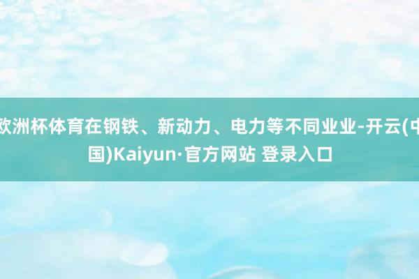 欧洲杯体育在钢铁、新动力、电力等不同业业-开云(中国)Kaiyun·官方网站 登录入口