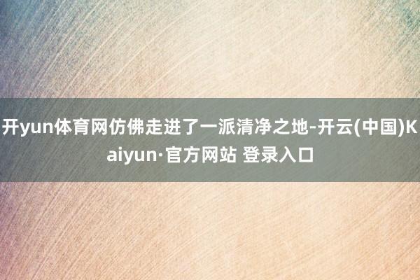 开yun体育网仿佛走进了一派清净之地-开云(中国)Kaiyun·官方网站 登录入口