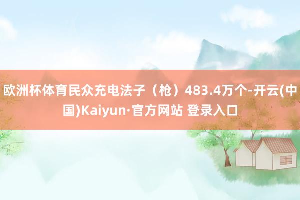 欧洲杯体育民众充电法子（枪）483.4万个-开云(中国)Kaiyun·官方网站 登录入口