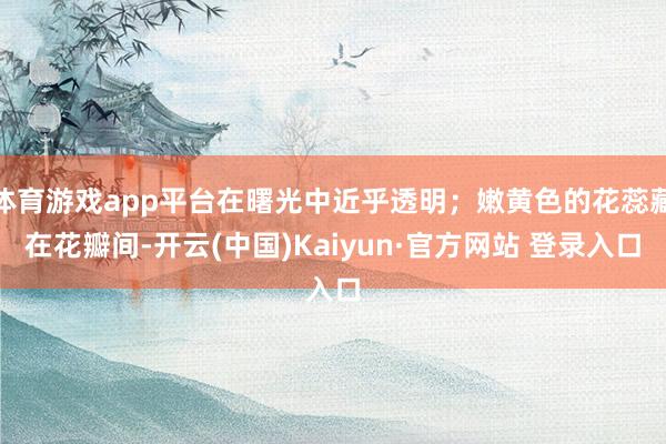 体育游戏app平台在曙光中近乎透明;嫩黄色的花蕊藏在花瓣间-开云(中国)Kaiyun·官方网站 登录入口
