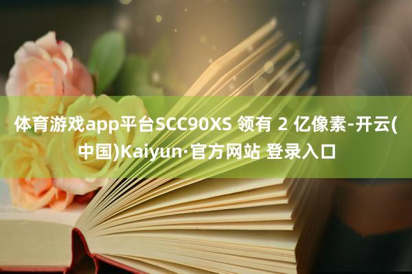 体育游戏app平台SCC90XS 领有 2 亿像素-开云(中国)Kaiyun·官方网站 登录入口