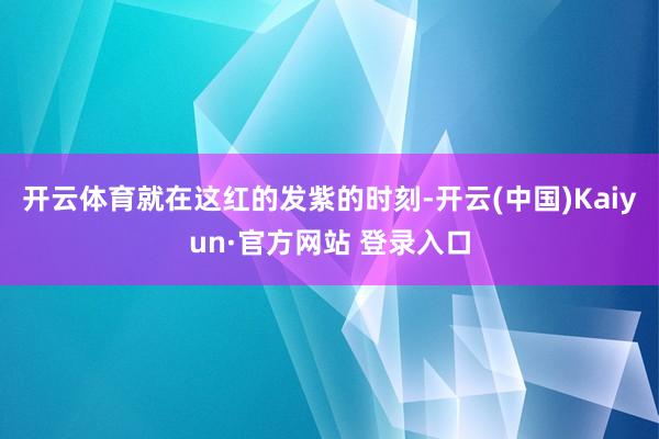 开云体育就在这红的发紫的时刻-开云(中国)Kaiyun·官方网站 登录入口