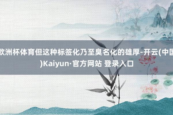 欧洲杯体育但这种标签化乃至臭名化的雄厚-开云(中国)Kaiyun·官方网站 登录入口