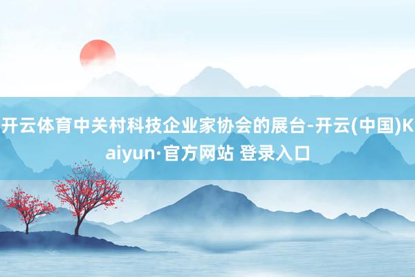 开云体育中关村科技企业家协会的展台-开云(中国)Kaiyun·官方网站 登录入口