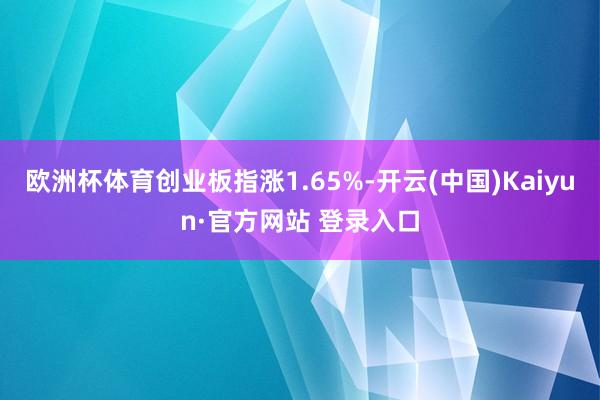 欧洲杯体育创业板指涨1.65%-开云(中国)Kaiyun·官方网站 登录入口