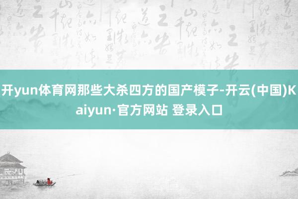 开yun体育网那些大杀四方的国产模子-开云(中国)Kaiyun·官方网站 登录入口