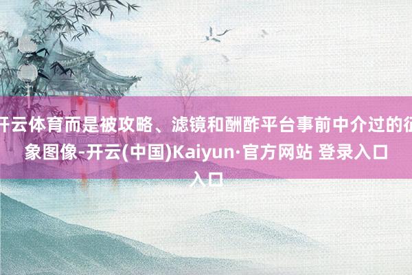 开云体育而是被攻略、滤镜和酬酢平台事前中介过的征象图像-开云(中国)Kaiyun·官方网站 登录入口