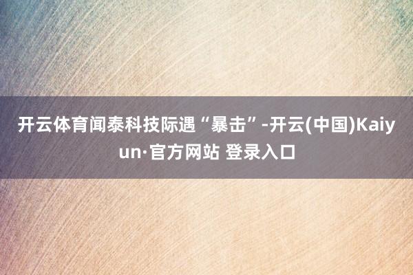 开云体育 闻泰科技际遇“暴击”-开云(中国)Kaiyun·官方网站 登录入口