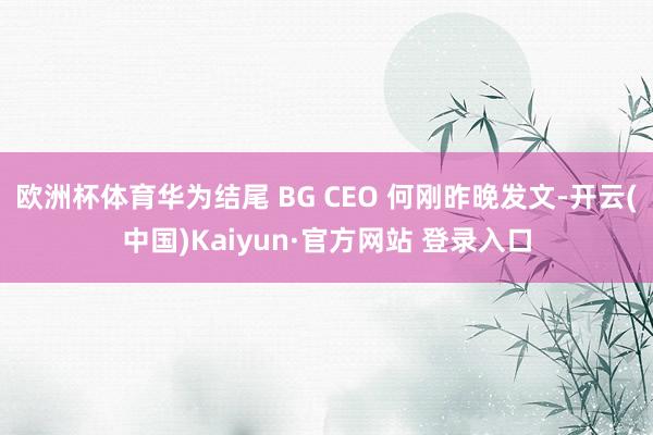 欧洲杯体育华为结尾 BG CEO 何刚昨晚发文-开云(中国)Kaiyun·官方网站 登录入口