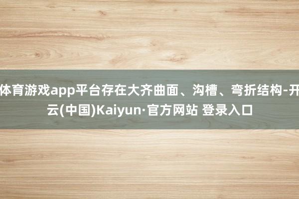 体育游戏app平台存在大齐曲面、沟槽、弯折结构-开云(中国)Kaiyun·官方网站 登录入口