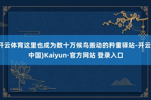 开云体育这里也成为数十万候鸟搬动的矜重驿站-开云(中国)Kaiyun·官方网站 登录入口