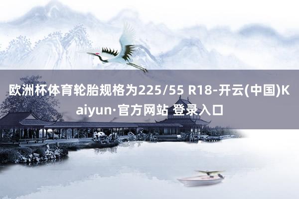 欧洲杯体育轮胎规格为225/55 R18-开云(中国)Kaiyun·官方网站 登录入口